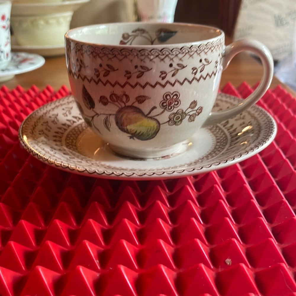 A QUAINT JOHNSON BROS TEACUP AND SAUCER